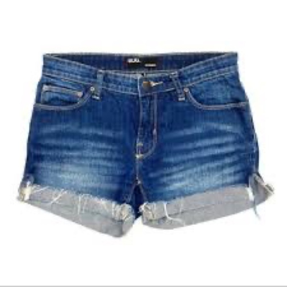 Urban Outfitters BDG Boyfriend Shorts Size 26